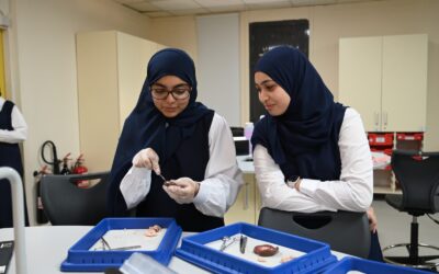 Exploring the Mammalian Heart: A Hands-On Biology Experience